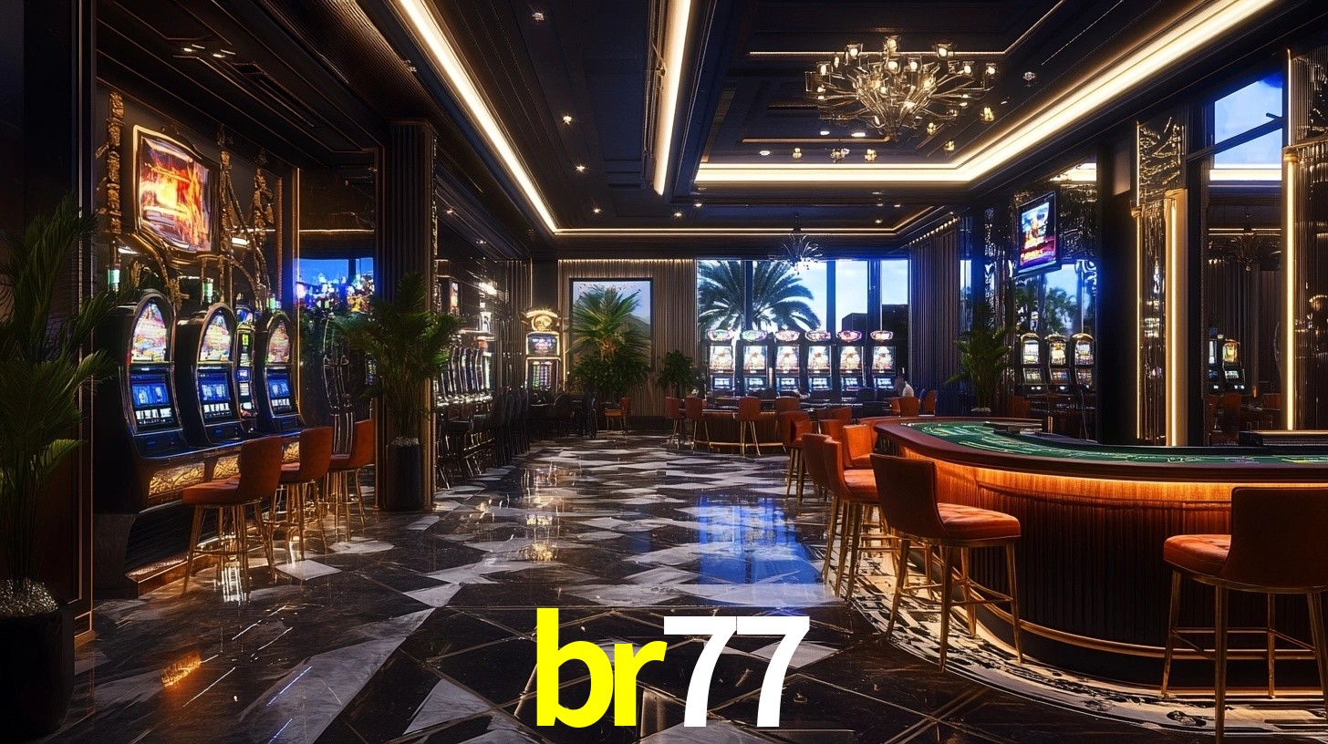 br77 App Interface